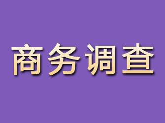 永顺商务调查